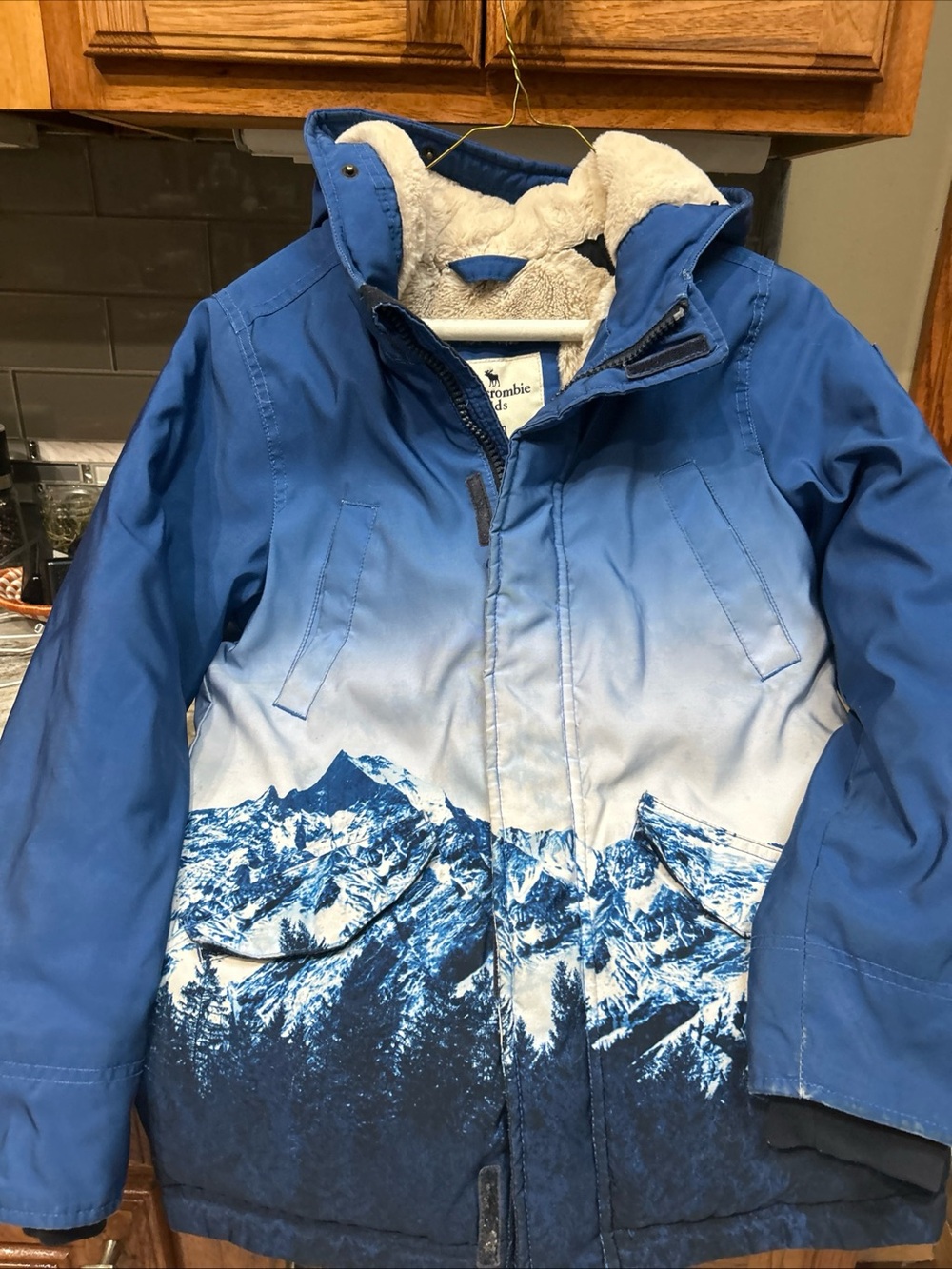 Abercrombie Kids Abercrombie & Fitch Snowboard Ski Jacket Sz 9/10 Hood Fleece